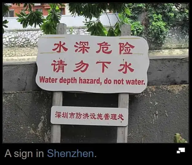 A Chinglish example from LUCHEN Watson’s English-learning research